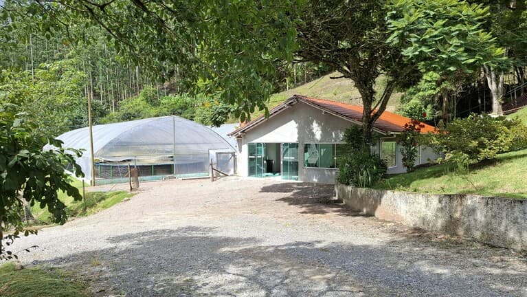 Sítio em Presidente Nereu - SC com Rentabilidade Imediata - Imagem 2