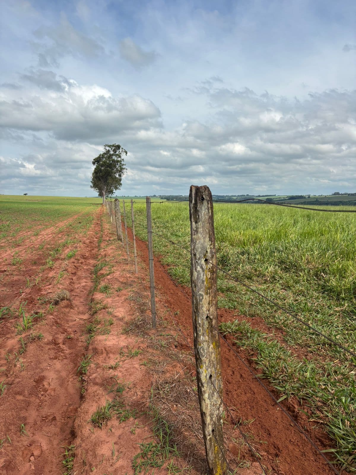 Sítio em Santa Fé - Paraná - Imagem 2