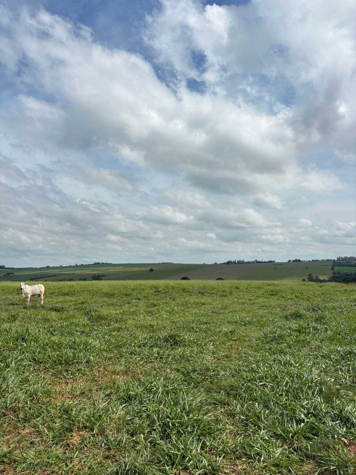 Sítio em Santa Fé - Paraná