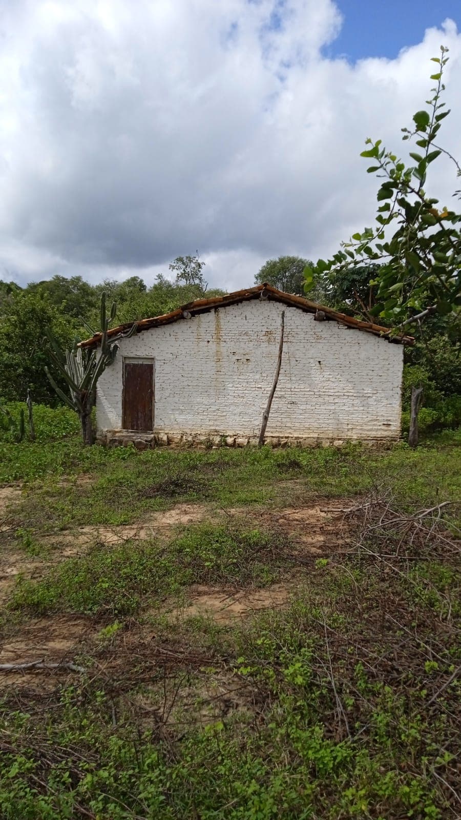 SITIO EM FLORIANO- PIAUÍ 70,2 HECTARES - Imagem 19