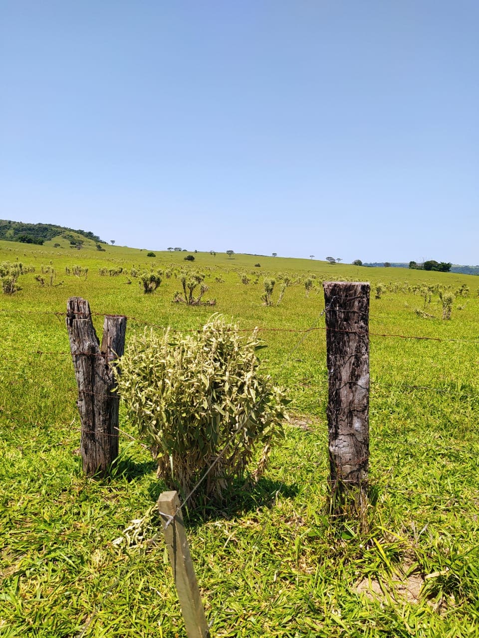 FAZENDA PARA VENDA EM VERA CRUZ SP - Imagem 2