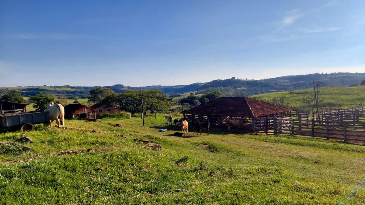 FAZENDA PARA VENDA EM VERA CRUZ SP - Imagem 1