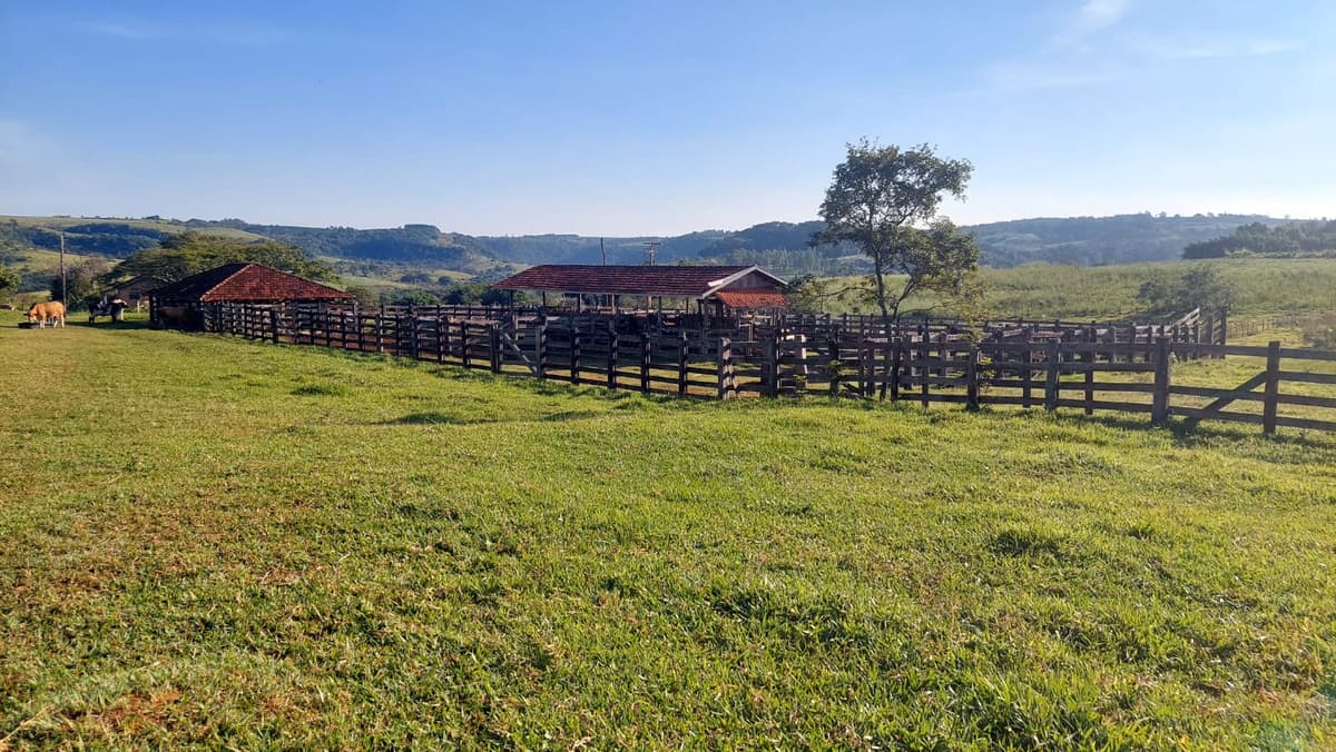 FAZENDA PARA VENDA EM VERA CRUZ SP - Imagem 43