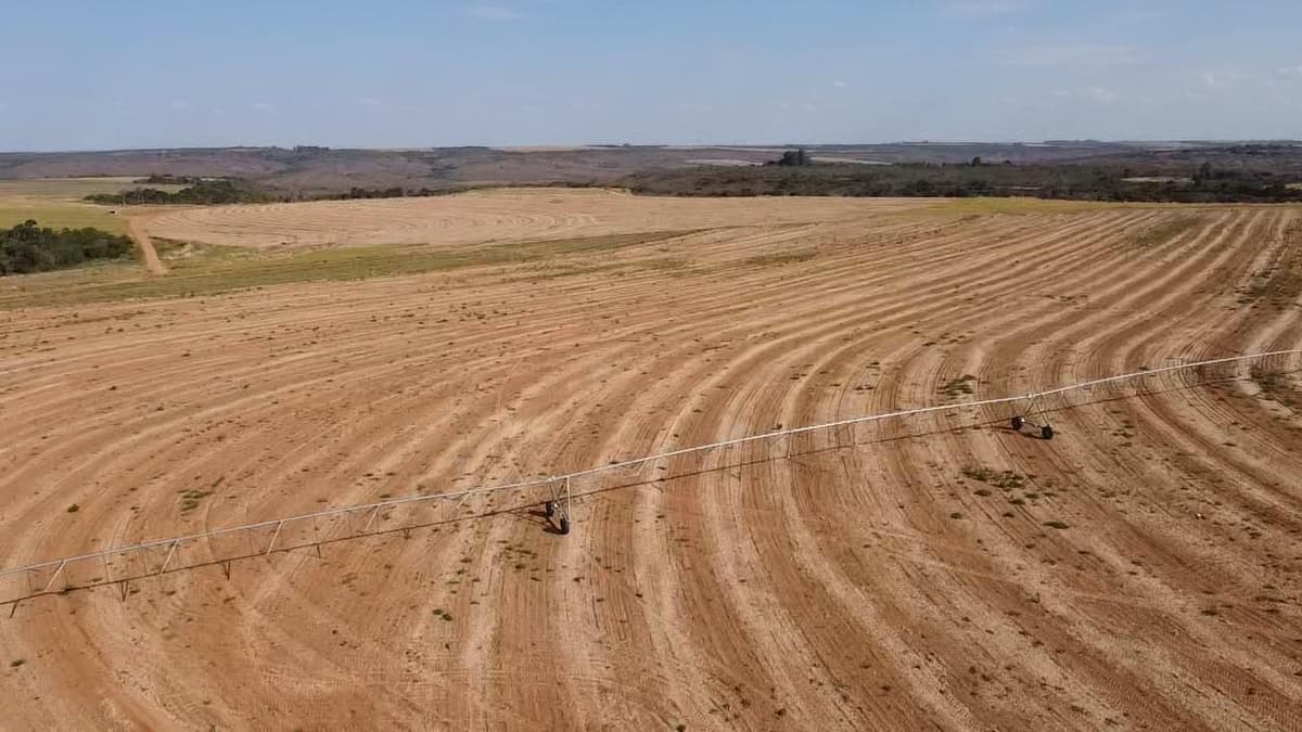 Fazenda à venda - com pivôs - Unaí/MG - Na chapada de Garapuava - Imagem 11