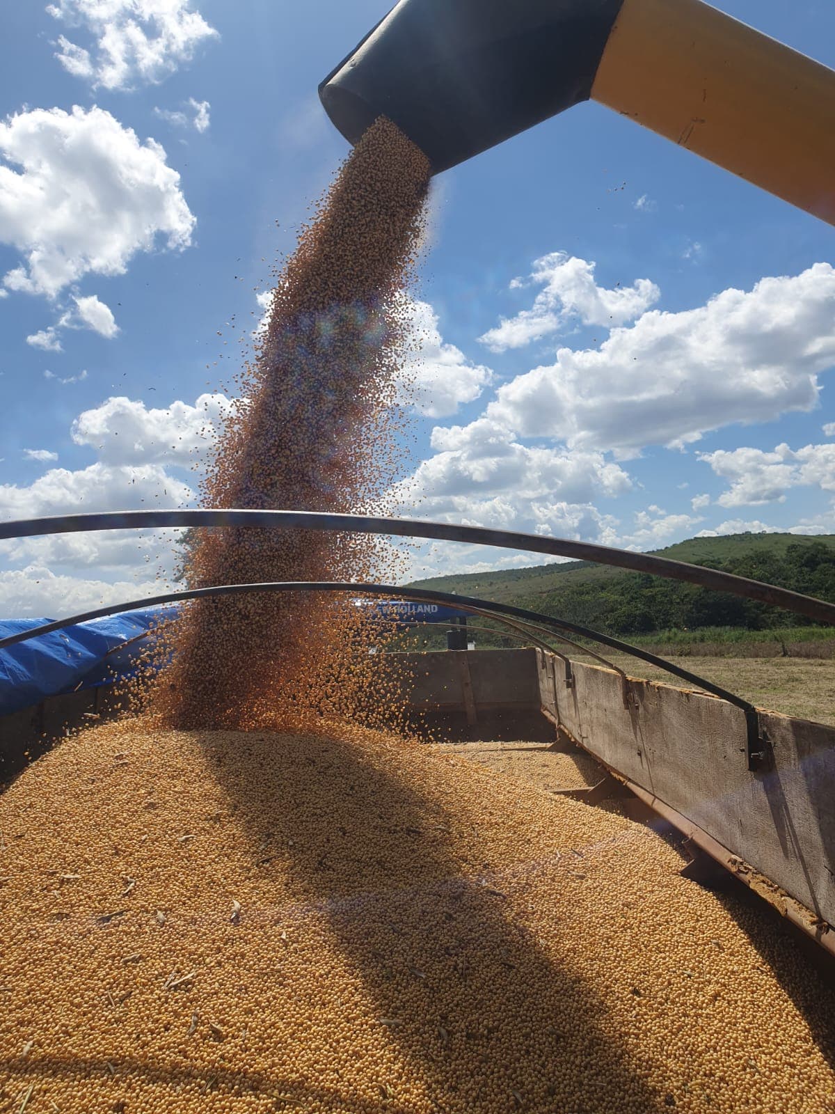 Fazenda DUPLA APTIDÃO - Localizada em Sítio d'Abadia/GO | Plantando 200 hectares de SOJA - Imagem 2