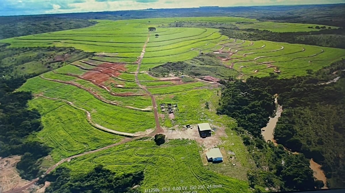 Fazenda DUPLA APTIDÃO - Localizada em Sítio d'Abadia/GO | Plantando 200 hectares de SOJA