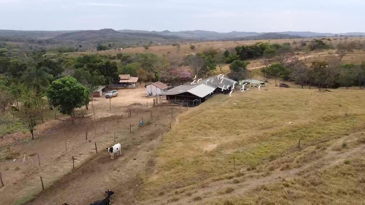 Fazendinha MODELO e PRODUTIVA – Unaí-MG - Imagem 18
